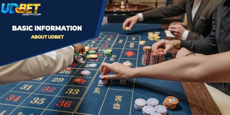 Basic Information About UDBET